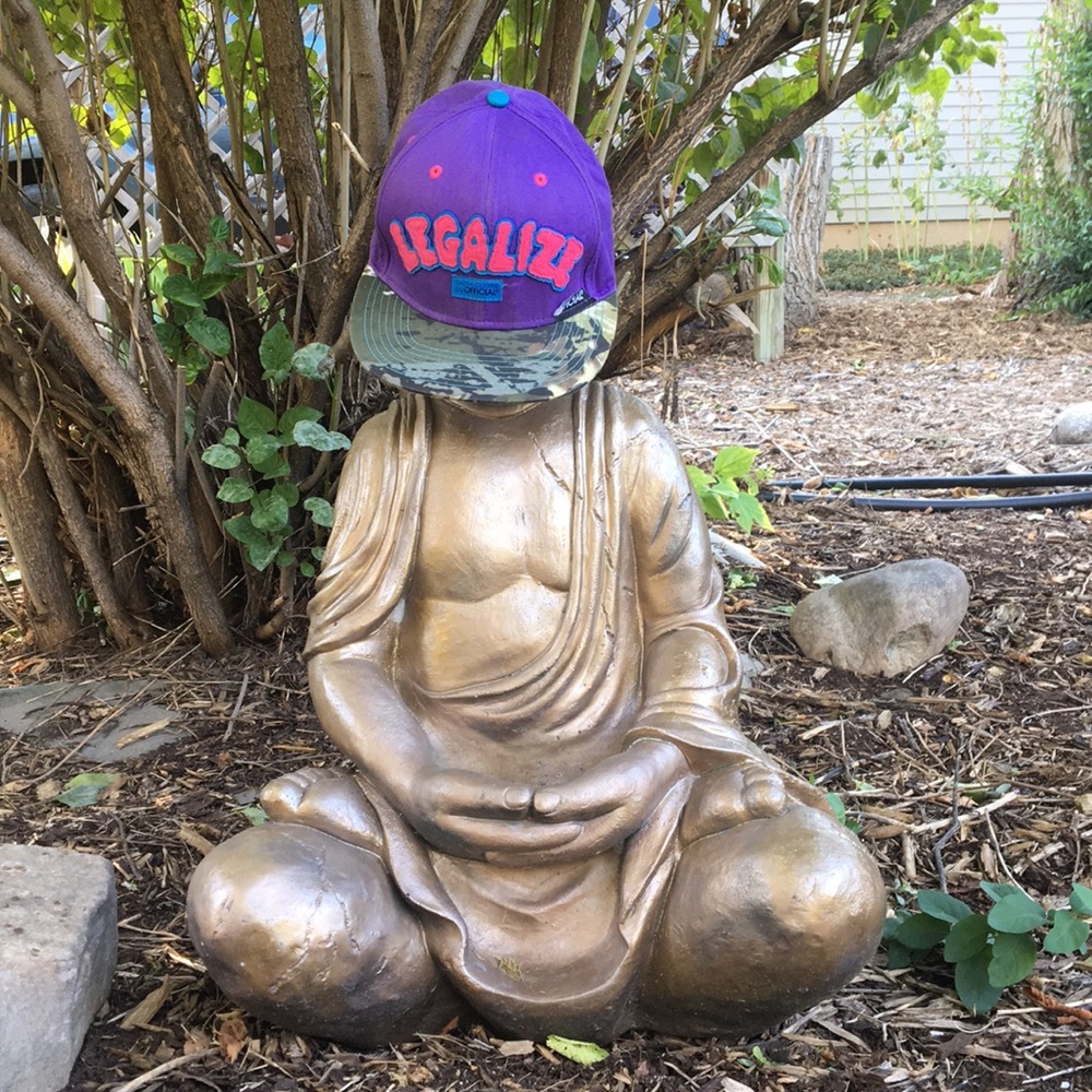 Legalize Snap Back